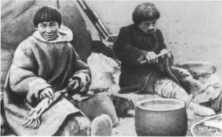 Иллюстрация к книге — Русанов [i_050.jpg]