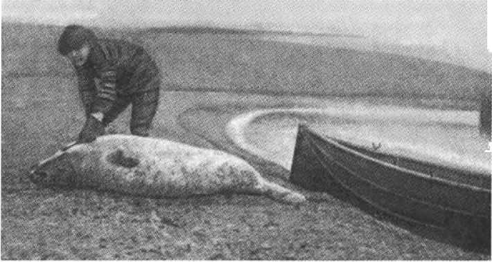 Иллюстрация к книге — Русанов [i_062.jpg]