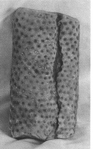 Иллюстрация к книге — Русанов [i_066.jpg]