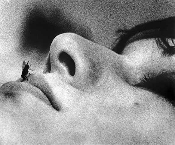 Иллюстрация к книге — Рядом с Джоном и Йоко [i_014.jpg]