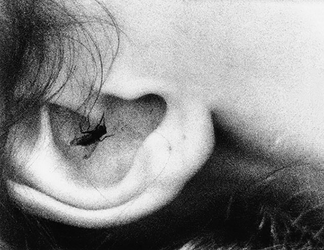 Иллюстрация к книге — Рядом с Джоном и Йоко [i_015.jpg]