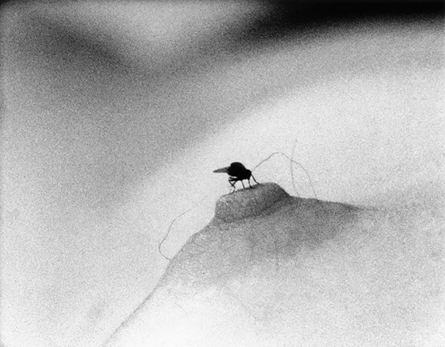 Иллюстрация к книге — Рядом с Джоном и Йоко [i_016.jpg]