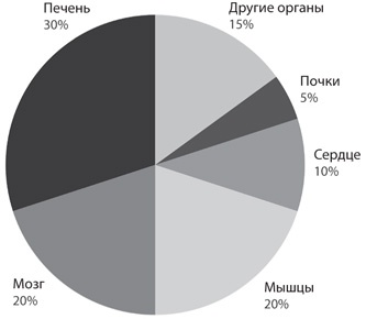 Иллюстрация к книге — Атомы у нас дома. Удивительная наука за повседневными вещами [i_008.jpg]