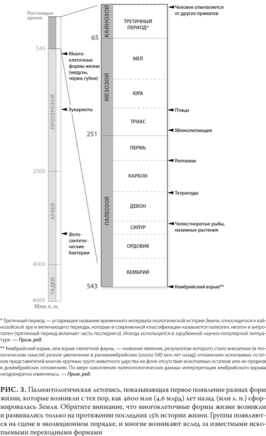 Иллюстрация к книге — Эволюция: Неопровержимые доказательства [i_006.jpg]