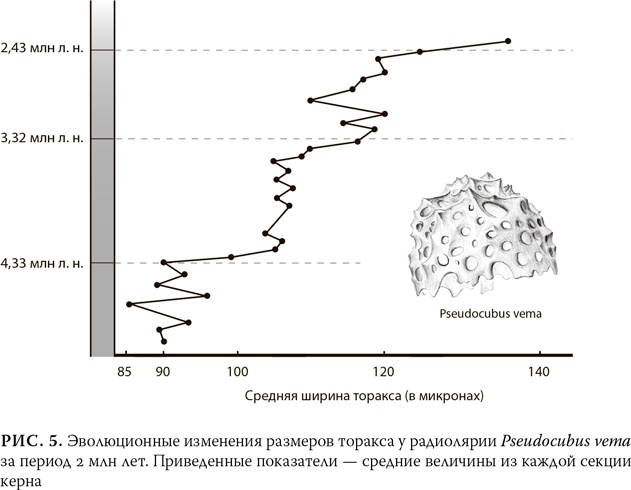 Иллюстрация к книге — Эволюция: Неопровержимые доказательства [i_008.jpg]
