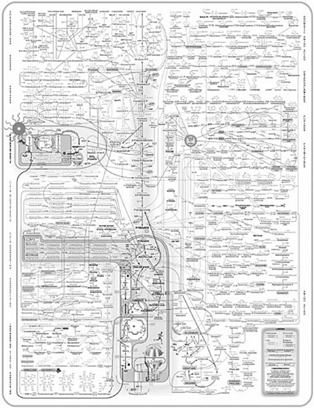 Иллюстрация к книге — Полезная еда. Развенчание мифов о здоровом питании [i_007.jpg]