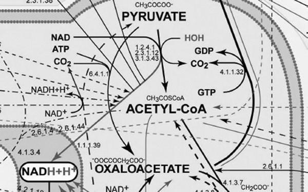 Иллюстрация к книге — Полезная еда. Развенчание мифов о здоровом питании [i_008.jpg]