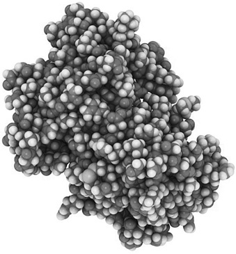 Иллюстрация к книге — Полезная еда. Развенчание мифов о здоровом питании [i_010.jpg]