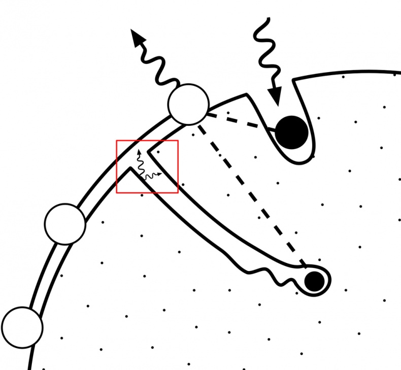 Иллюстрация к книге — Вся фигня - от мозга?! Простая психосоматика для сложных граждан [i_023.jpg]