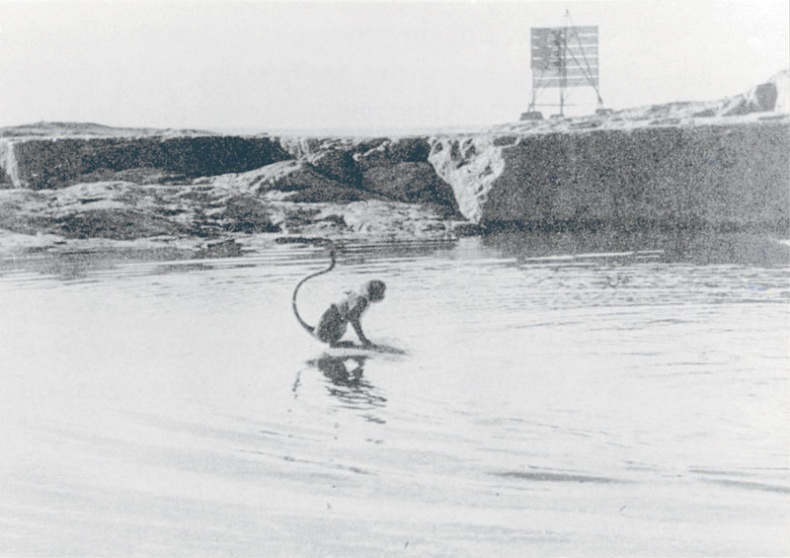 Иллюстрация к книге — Туве Янссон. Работай и люби [i_060.jpg]