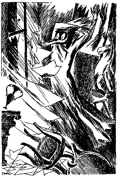 Иллюстрация к книге — Туве Янссон. Работай и люби [i_080.jpg]