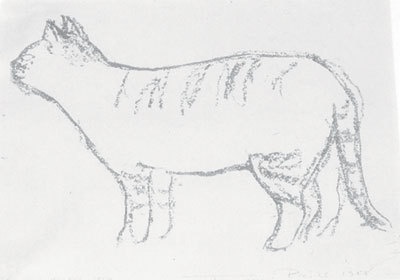 Иллюстрация к книге — Туве Янссон. Работай и люби [i_102.jpg]