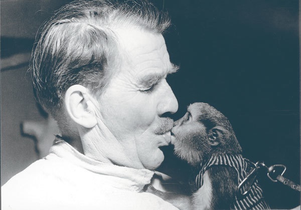 Иллюстрация к книге — Туве Янссон. Работай и люби [i_110.jpg]