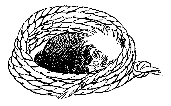 Иллюстрация к книге — Туве Янссон. Работай и люби [i_128.jpg]