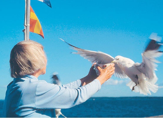 Иллюстрация к книге — Туве Янссон. Работай и люби [i_147.jpg]