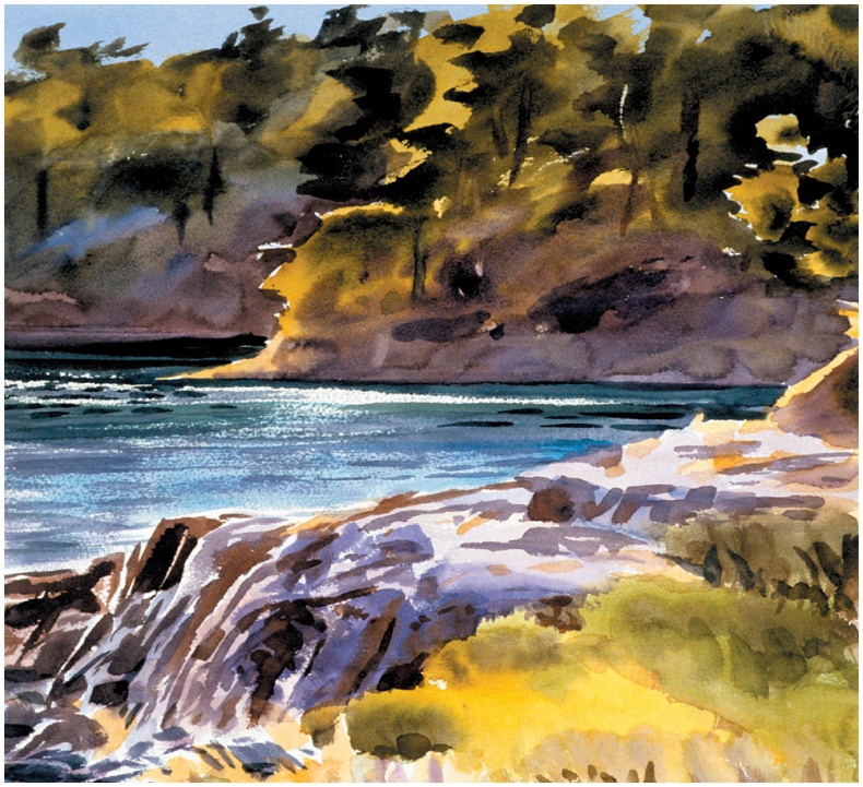 Иллюстрация к книге — Как понять акварель. Руководство для тех, кто хочет стать мастером [i_059.jpg]