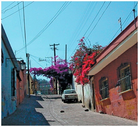 Иллюстрация к книге — Как понять акварель. Руководство для тех, кто хочет стать мастером [i_065.jpg]