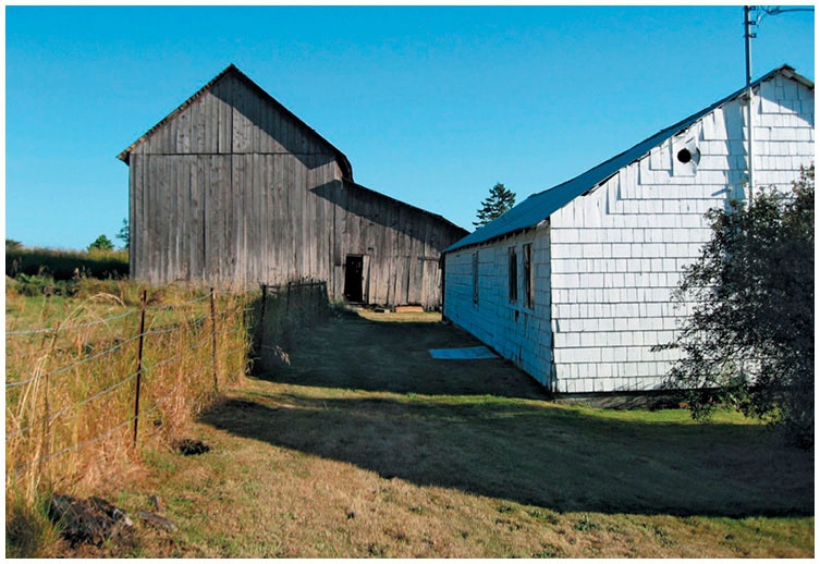 Иллюстрация к книге — Как понять акварель. Руководство для тех, кто хочет стать мастером [i_078.jpg]