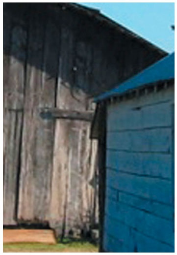 Иллюстрация к книге — Как понять акварель. Руководство для тех, кто хочет стать мастером [i_079.jpg]