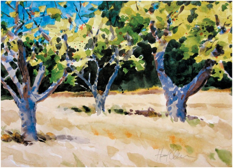 Иллюстрация к книге — Как понять акварель. Руководство для тех, кто хочет стать мастером [i_082.jpg]