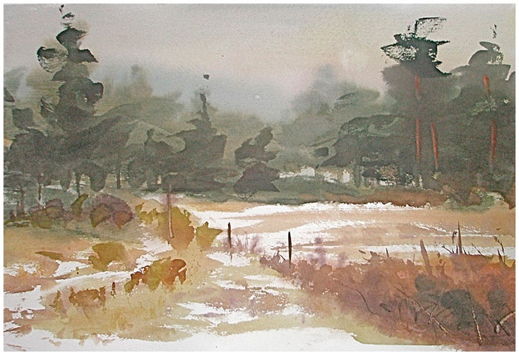 Иллюстрация к книге — Как понять акварель. Руководство для тех, кто хочет стать мастером [i_093.jpg]