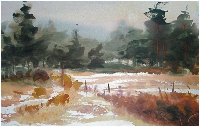 Иллюстрация к книге — Как понять акварель. Руководство для тех, кто хочет стать мастером [i_094.jpg]