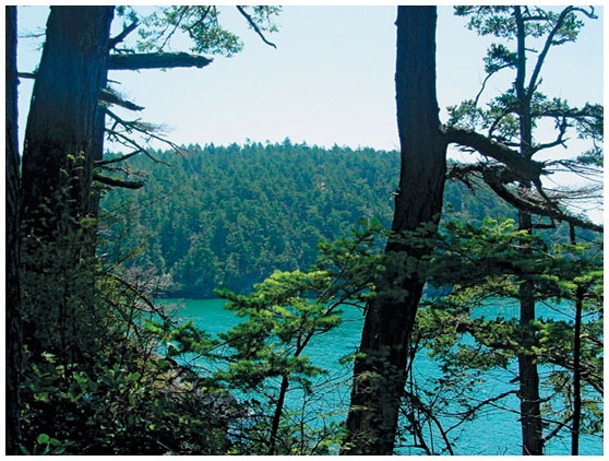 Иллюстрация к книге — Как понять акварель. Руководство для тех, кто хочет стать мастером [i_095.jpg]