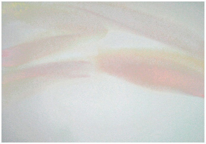 Иллюстрация к книге — Как понять акварель. Руководство для тех, кто хочет стать мастером [i_109.jpg]