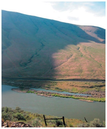 Иллюстрация к книге — Как понять акварель. Руководство для тех, кто хочет стать мастером [i_140.jpg]