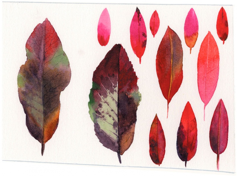 Иллюстрация к книге — Как понять акварель. Руководство для тех, кто хочет стать мастером [i_164.jpg]