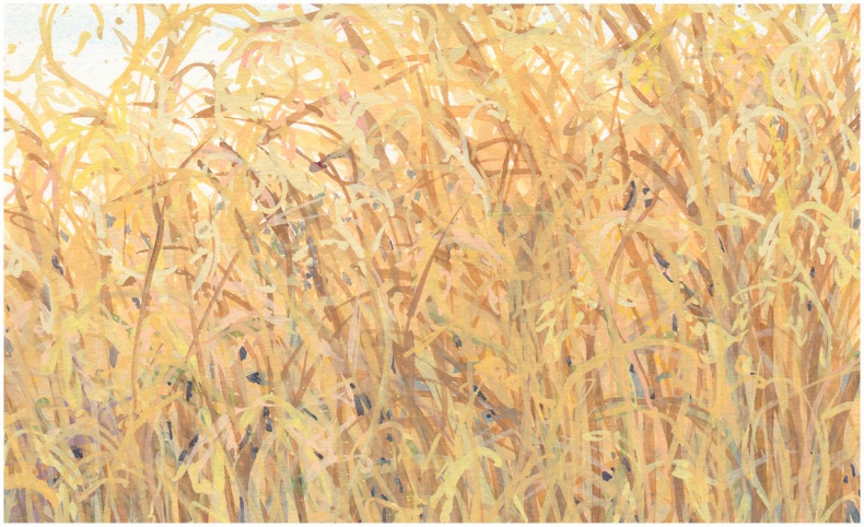 Иллюстрация к книге — Как понять акварель. Руководство для тех, кто хочет стать мастером [i_181.jpg]