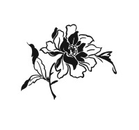 Иллюстрация к книге — Все будет хорошо! [i_008.jpg]