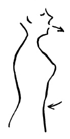 Иллюстрация к книге — Энциклопедия доктора Мясникова о самом главном. Том 3 [doc2fb_image_03000011.jpg]