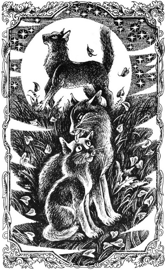 Иллюстрация к книге — Юность Грома [pic_1.jpg]