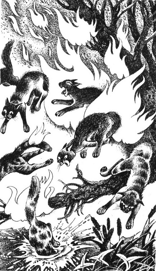 Иллюстрация к книге — Юность Грома [pic_3.jpg]