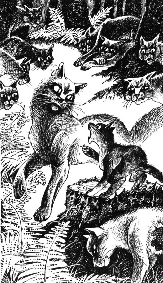 Иллюстрация к книге — Юность Грома [pic_6.jpg]