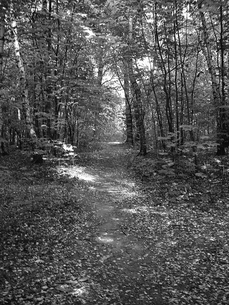 Иллюстрация к книге — Сидней Рейли. Подлинная история «короля шпионов» [i_031.jpg]