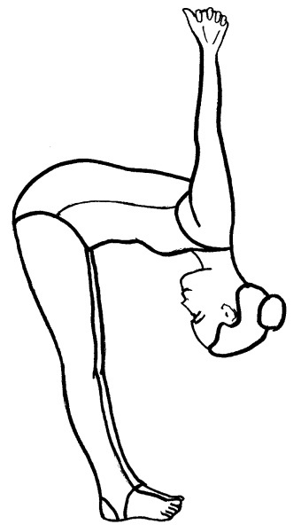 Иллюстрация к книге — Йога для всех. Путь к здоровью [i_013.jpg]