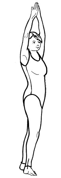 Иллюстрация к книге — Йога для всех. Путь к здоровью [i_014.jpg]