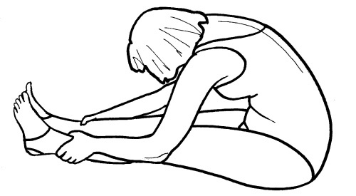 Иллюстрация к книге — Йога для всех. Путь к здоровью [i_023.jpg]