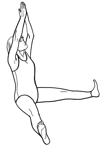 Иллюстрация к книге — Йога для всех. Путь к здоровью [i_025.jpg]