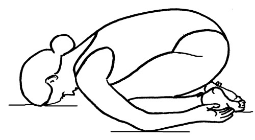 Иллюстрация к книге — Йога для всех. Путь к здоровью [i_028.jpg]