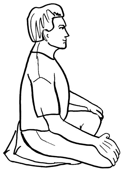 Иллюстрация к книге — Йога для всех. Путь к здоровью [i_030.jpg]