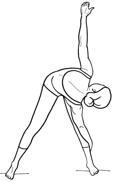 Иллюстрация к книге — Йога для всех. Путь к здоровью [i_039.jpg]