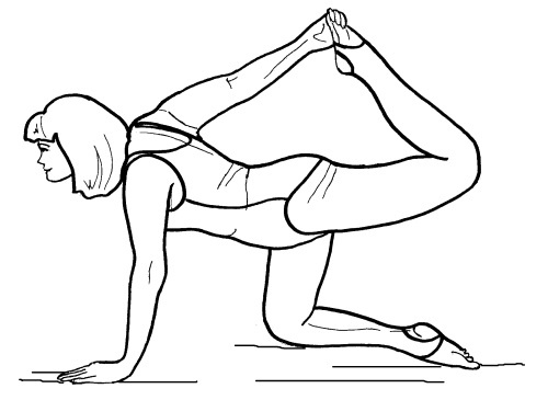 Иллюстрация к книге — Йога для всех. Путь к здоровью [i_042.jpg]