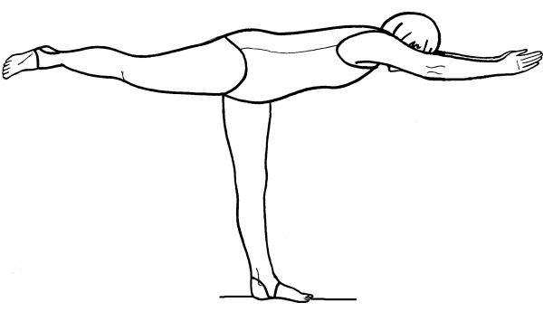 Иллюстрация к книге — Йога для всех. Путь к здоровью [i_056.jpg]