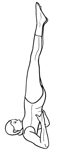 Иллюстрация к книге — Йога для всех. Путь к здоровью [i_094.jpg]