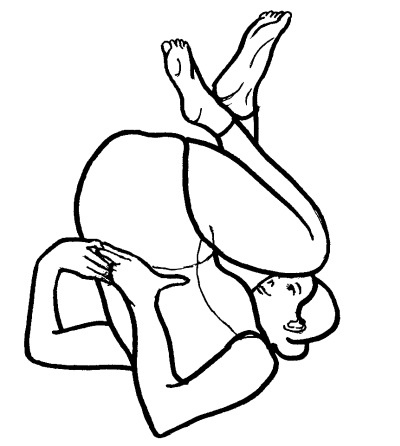 Иллюстрация к книге — Йога для всех. Путь к здоровью [i_095.jpg]