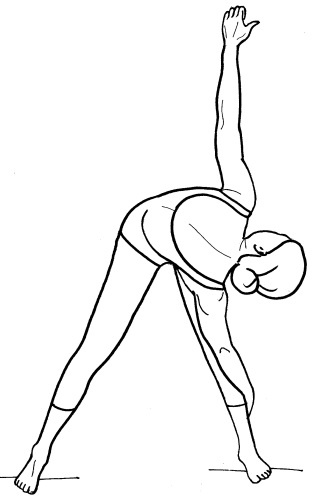 Иллюстрация к книге — Йога для всех. Путь к здоровью [i_102.jpg]