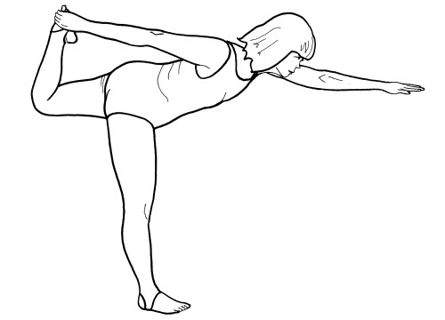 Иллюстрация к книге — Йога для всех. Путь к здоровью [i_127.jpg]